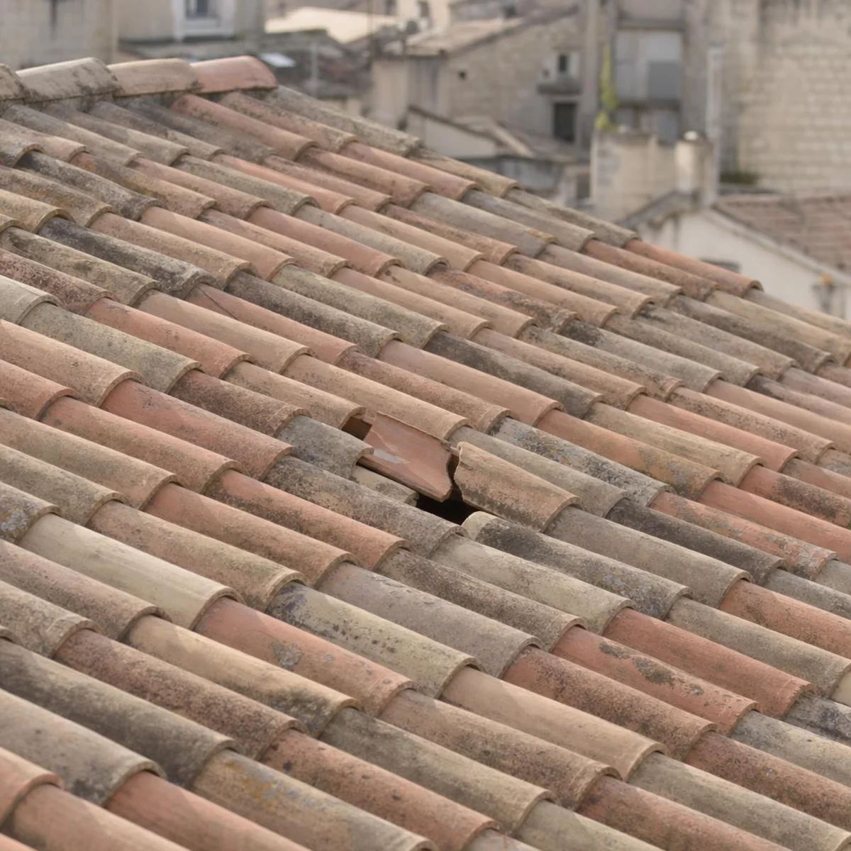 Illustration d’une toiture en tuiles canal patinées avec plusieurs tuiles cassées et déplacées